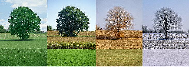 《幽灵线：东京》第二章20分钟实机演示公开 游戏3月25日发售