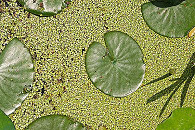 《装甲核心6》将于台北电玩展进行一小时直播展示