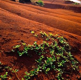 《群星》水生种族扩展包11月22日上市售价37元